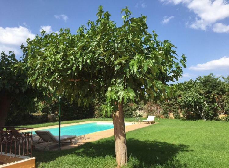 Relaxing Villa With Swimming Pool And Garden Agios Georgios  Luaran gambar